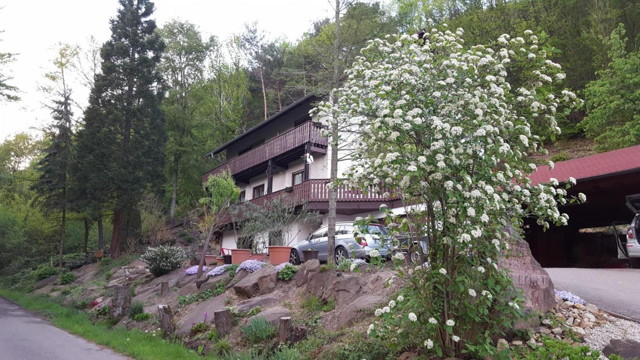 Gaestehaus Gerhardt Schweigen-Rechtenbach Luaran gambar