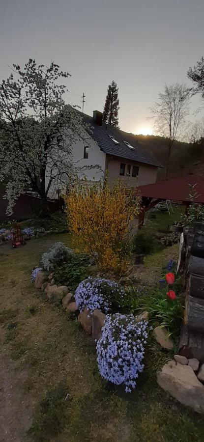 Gaestehaus Gerhardt Schweigen-Rechtenbach Luaran gambar