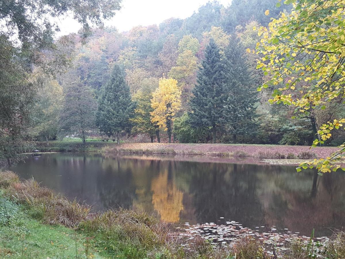 Gaestehaus Gerhardt Schweigen-Rechtenbach Luaran gambar