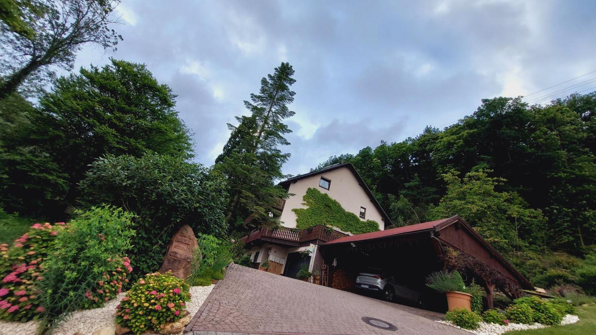 Gaestehaus Gerhardt Schweigen-Rechtenbach Luaran gambar
