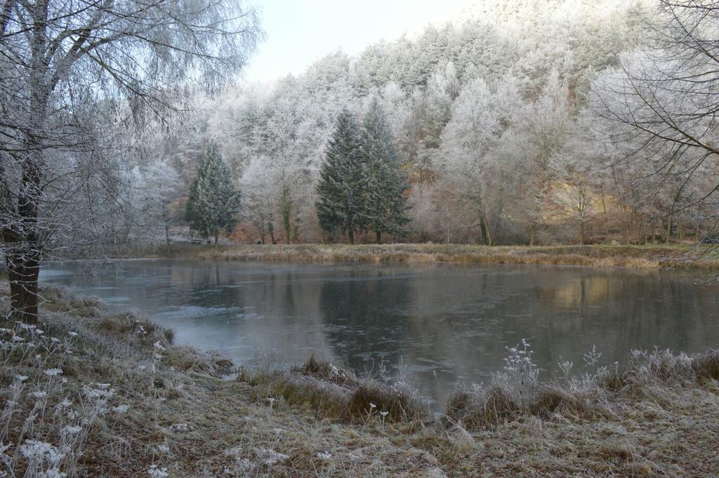 Gaestehaus Gerhardt Schweigen-Rechtenbach Luaran gambar
