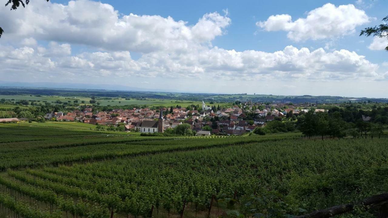 Gaestehaus Gerhardt Schweigen-Rechtenbach Luaran gambar