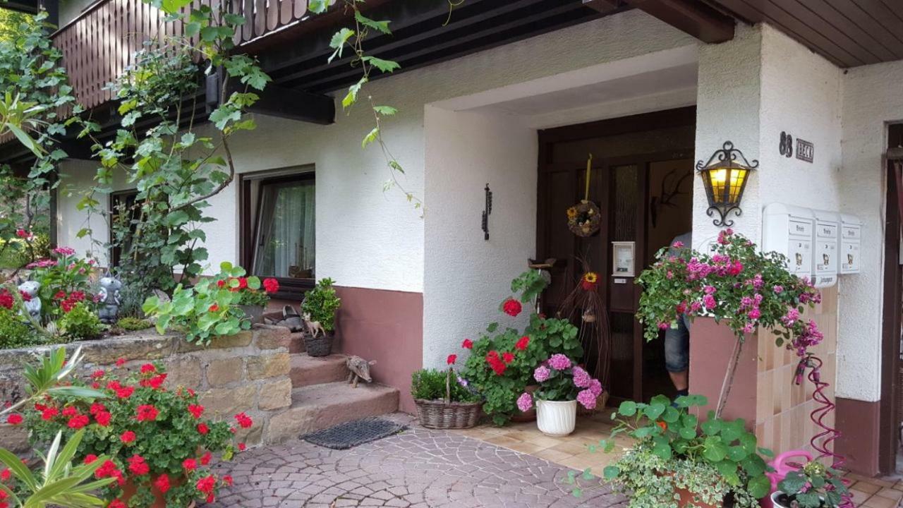 Gaestehaus Gerhardt Schweigen-Rechtenbach Luaran gambar
