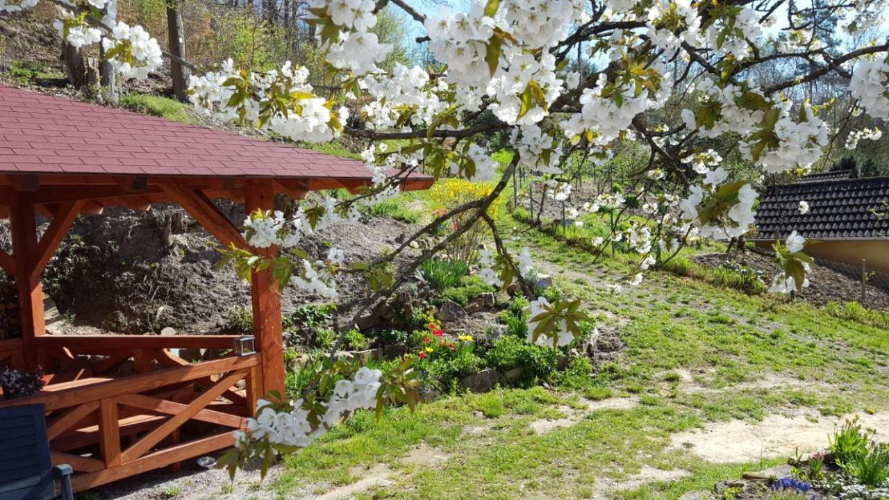 Gaestehaus Gerhardt Schweigen-Rechtenbach Luaran gambar